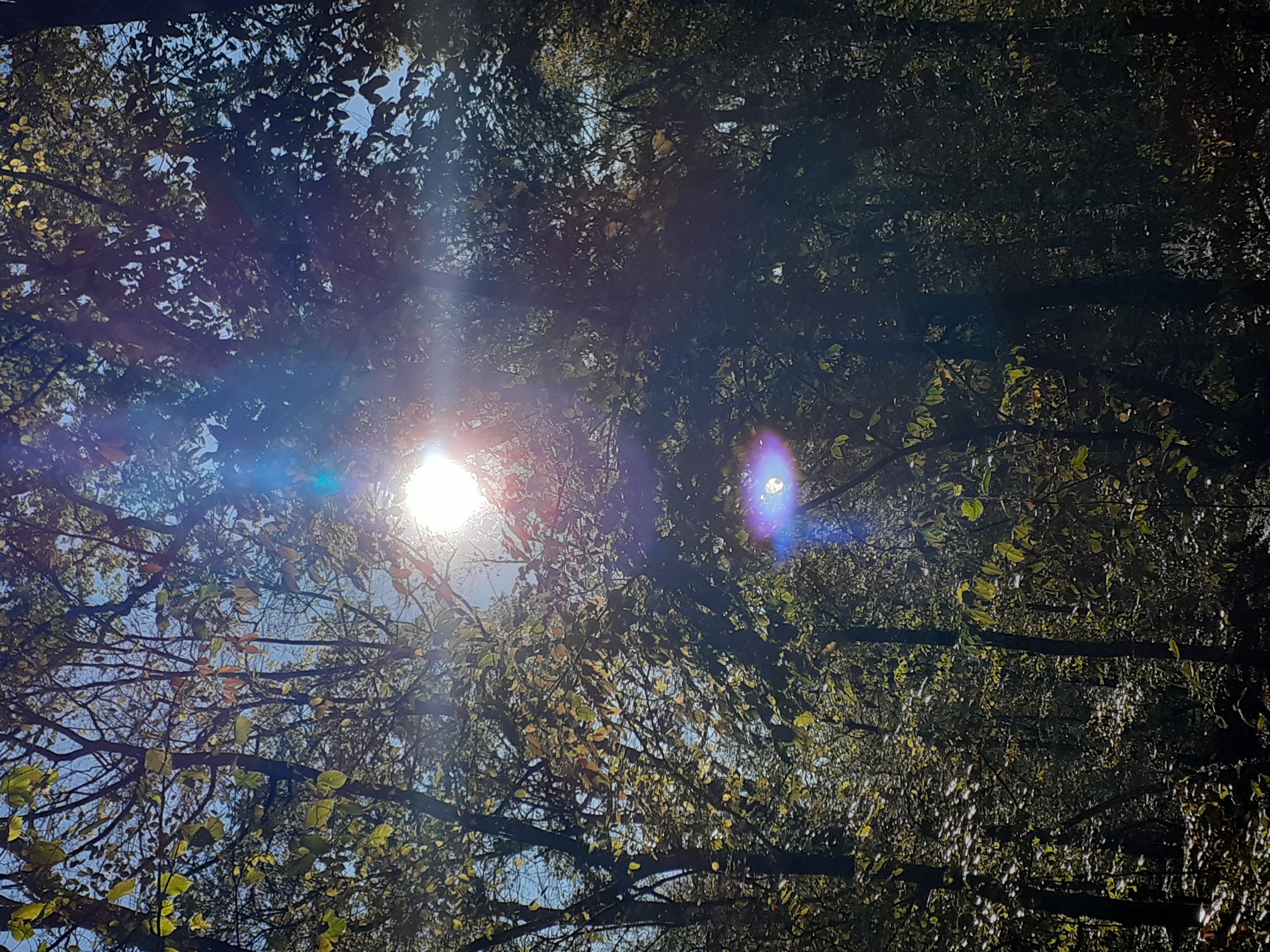 Herbstbild
